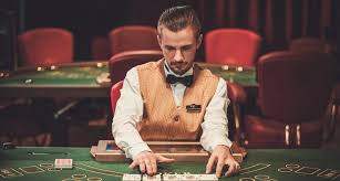 Casino Wilder